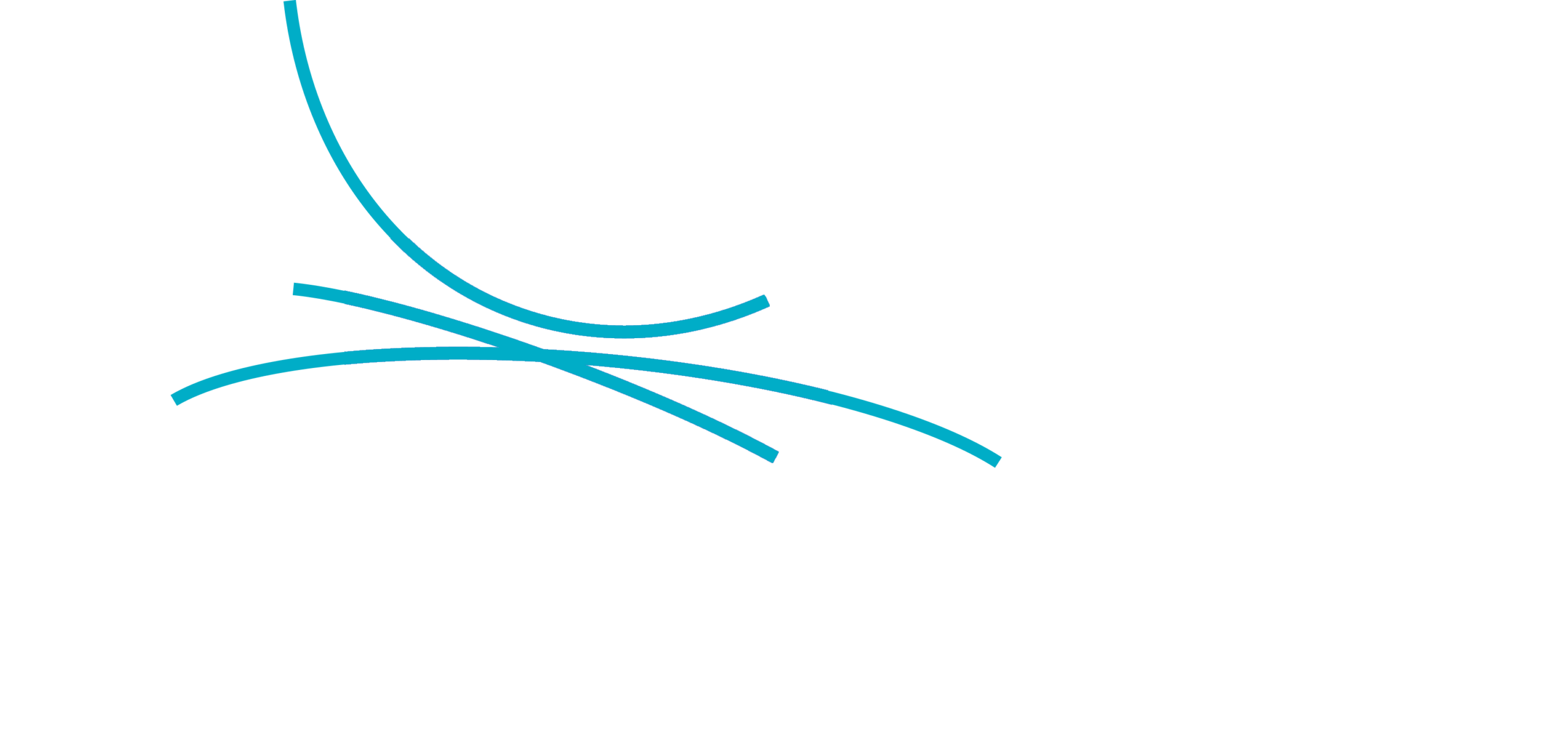 Logo FHE blanc